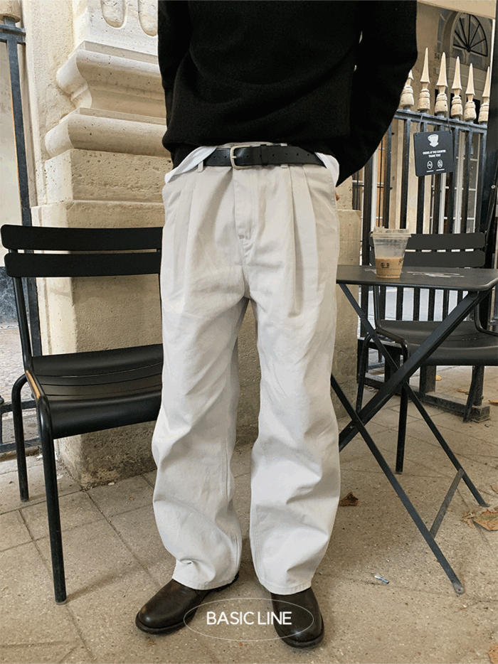 Tary two tuck wide cotton pants